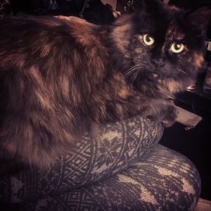 Meet your Posher, Leighann